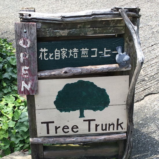 treetrunk1