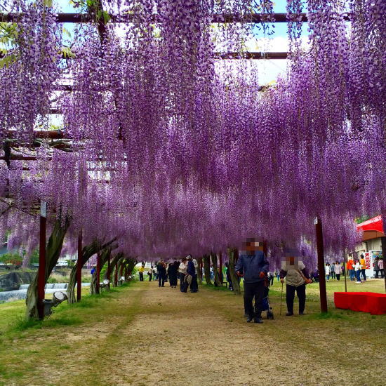 和気藤公園2