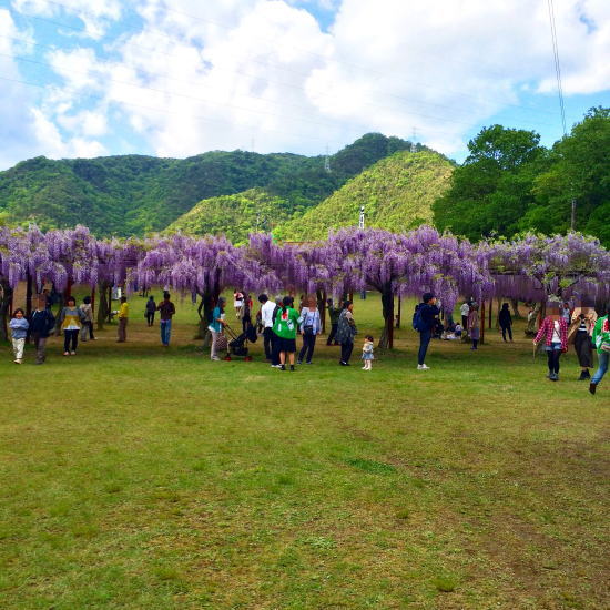 和気藤公園3