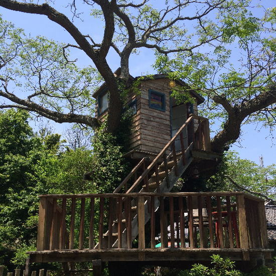 akatuki_treehouse