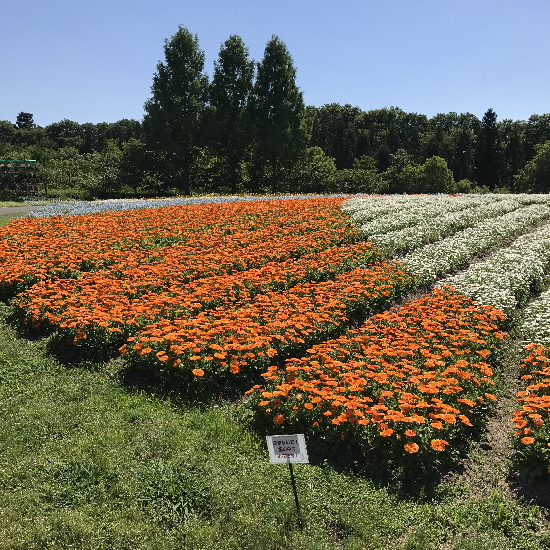 備北丘陵公園