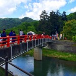 日本一の種類を誇る和気神社の藤公園
