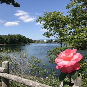 おとなり広島県庄原市にある備北丘陵公園